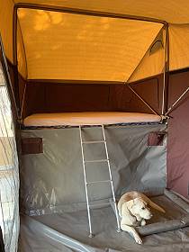Bazar: Toyota Landcruiser mit 3dog Camping Zeltanhnger