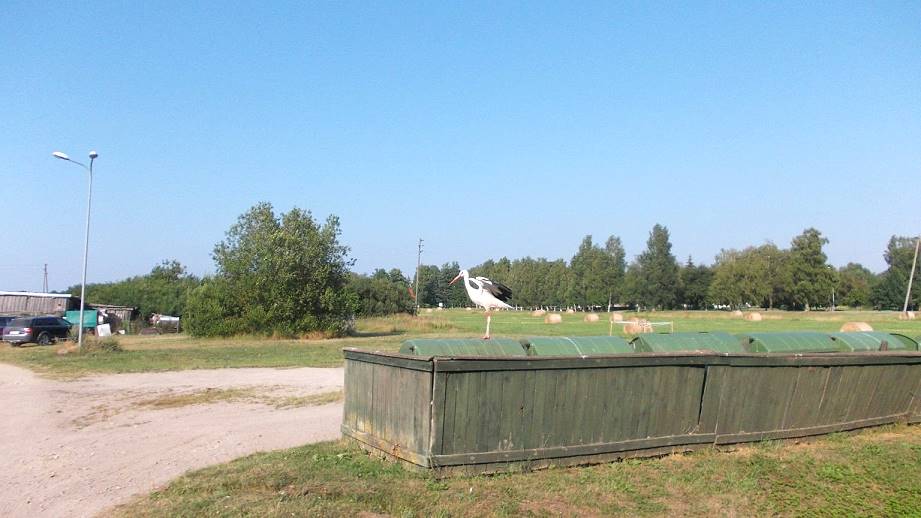 Hier pausiert nicht nur der Klapperstorch ...