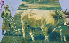 Würdigung der Frau im ländlichen Bereich Würdigung der Frau im ländlichen Bereich