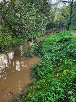 Überflutung allerorten ... Überflutung allerorten ...