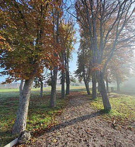 Ideal für einen kleinen Spaziergang Ideal für einen kleinen Spaziergang