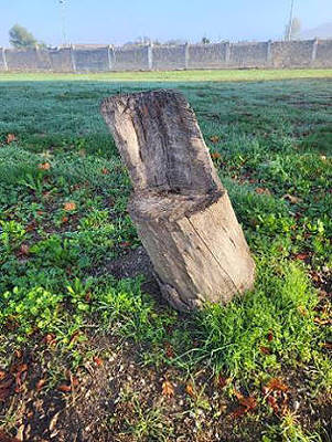 Hölzerner Einzelsitz ... Hölzerner Einzelsitz ...