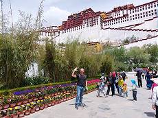 Lhasa Potala Palast: Belustigt schaut eine asiatische Touristengruppe zu