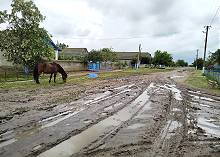 Schlammstraen bei Lyman (3)